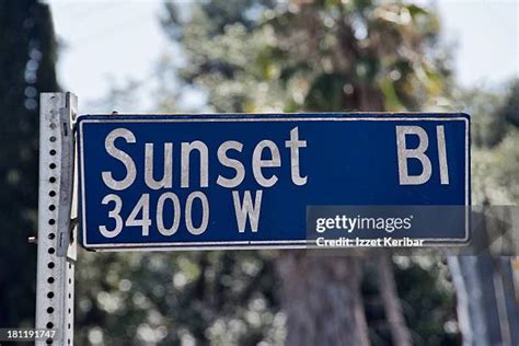 Sunset Blvd Street Photos And Premium High Res Pictures Getty Images