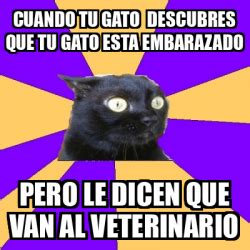 Meme Anxiety Cat Cuando Tu Gato Descubres Que Tu Gato Esta Embarazado