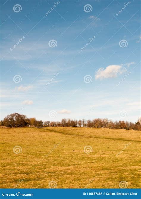 Massive Open Plain Farm Field Grass Agriculture England Blue Sky Ahead Stock Image Image Of