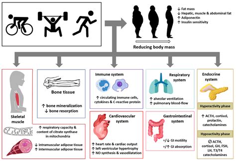 Ijerph Free Full Text Physiological Changes And Pathological Pain