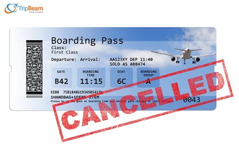 The Complete Guide On How To Cancel Your Flight Ticket Tripbeam Ca