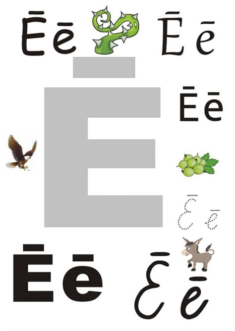 Ē - Mācību materiāli