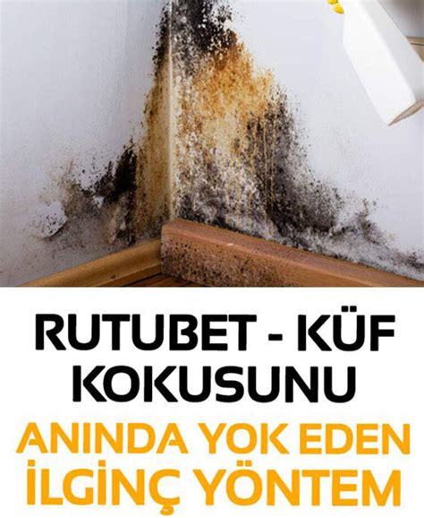 Rutubet kokusunu anında yok eden ilginç yöntemler Nefis Lezzetler