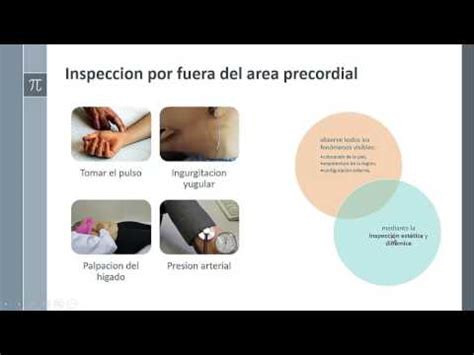 Semiolog A Aparato Cardiovascular Clase Palpacion Auscultacion Youtube