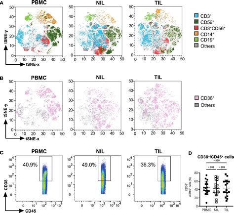 Frontiers CD38 Marks The Exhausted CD8 Tissue Resident Memory T