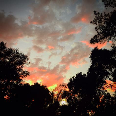 Pink Cloud Boogie Rachel Resnick