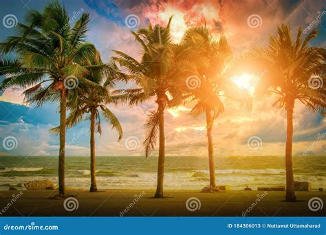 Palmeras De Coco De Silueta Cerca De La Playa Al Atardecer Tono