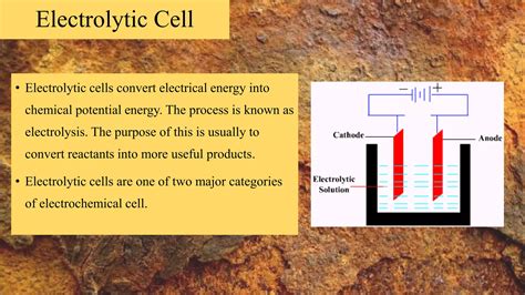 Types Of Electrochemical Cells PPT