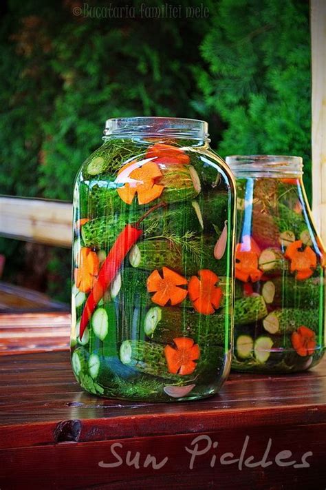 Sun Pickles A Simple 5 Day You Cant Ruin It Recipe Pickling