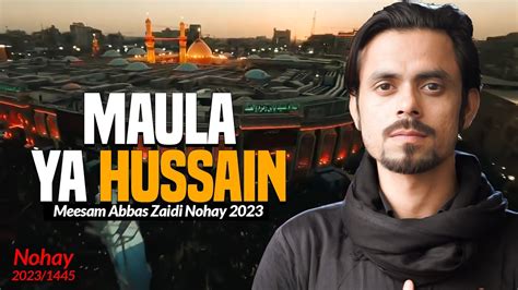 Nohay Maula Ya Hussain Meesam Abbas Zaidi Nohay New