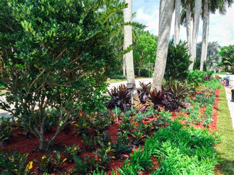 Complete Overhaul Of Median Strip Landscaping In San Messina Weston