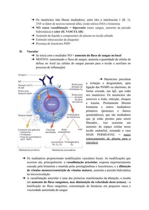 Solution Patologia Das Inflama Es E Do Reparo Studypool