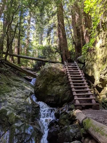 10 Best Waterfall Trails In Mount Tamalpais State Park Alltrails