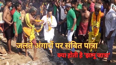 Sambit Patra Walks Barefoot On Hot Coals Know All About Jhamu Jatra