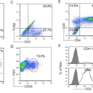 T cell differentiation from iPS cells. Mouse iPS cells were co-cultured... | Download Scientific ...