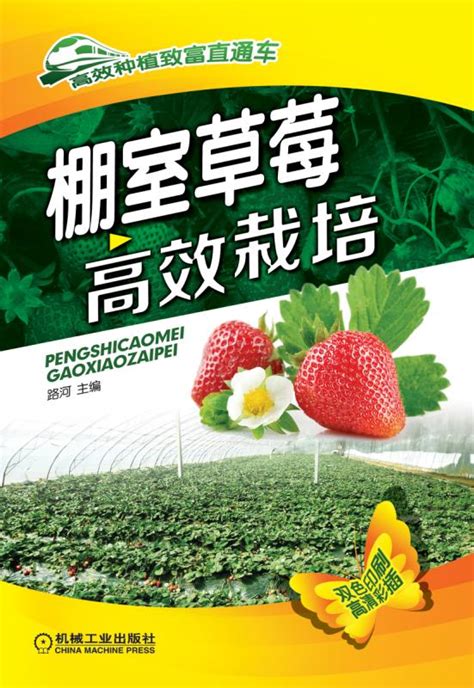 棚室草莓高效栽培路河草莓栽培病虫害防治诊断高效种植突出草莓设施栽培中各个生产环节的管理方博库网虎窝淘