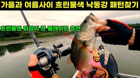 배스낚시 가을과 여름사이 강계배스 패턴을 찾아가는 과정 Youtube