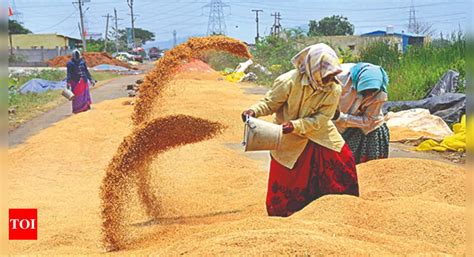 India Examining Allowing Some Rice Export Cargoes Trapped At Ports