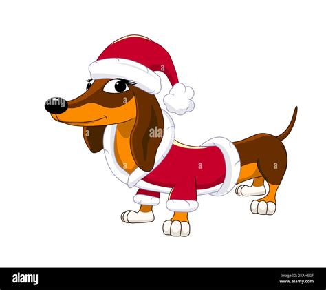 Lindo Perro Dachshund De Dibujos Animados Vestido Con Un Sombrero De