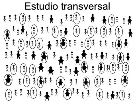 Investigación Transversal Y Longitudinal