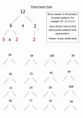 Prime Factorization Tree Worksheet