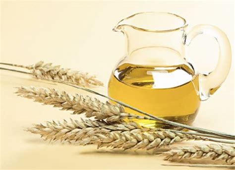 Olio Di Germe Di Grano Propriet E A Cosa Serve Tanta Salute