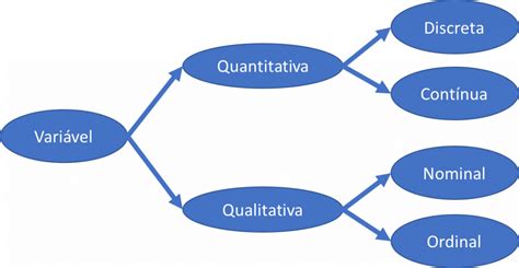 Estat Stica B Sica Tipos De Vari Veis Fastformat