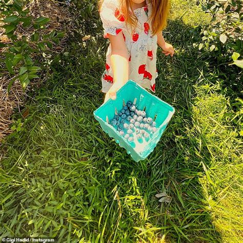 Gigi Hadid Posts A Bikini Clad Snap As She Gives A Rare Glimpse Of Her