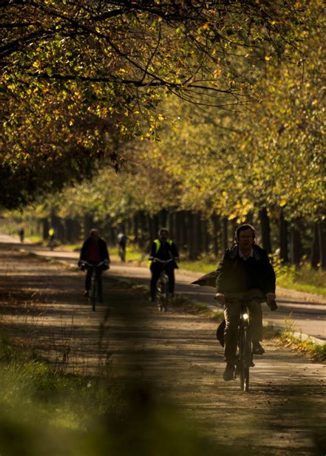 Paris Lance Un Vaste Plan En Faveur De La Biodiversité Geofr