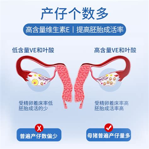 【普吉孕猪12】普爱12妊娠母猪浓缩饲料怀孕母猪料 促进受孕 妊娠料 浓缩料 妊娠饲料 妊娠母猪料 怀孕料 怀孕饲料 普爱旗舰店 金猪商城