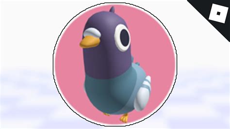 How To Get The Pigeon Badge In Find The Animals Roblox Youtube