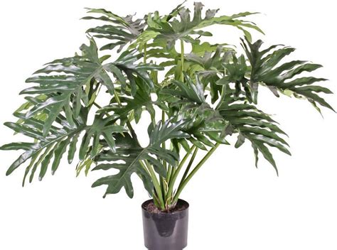 Philodendron Selloum Kunstplant Cm Bol