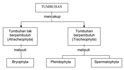 Materi Penjelasan Tentang Dunia Tumbuhan Kingdom Plantae Biologi