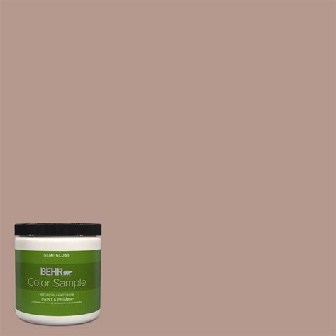 Behr Premium Plus Oz N Sonora Rose Semi Gloss Interior