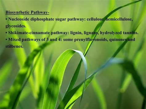 Plant Secondary Metabolites Ppt