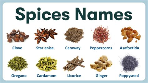 list  herbs spices names  english hindi