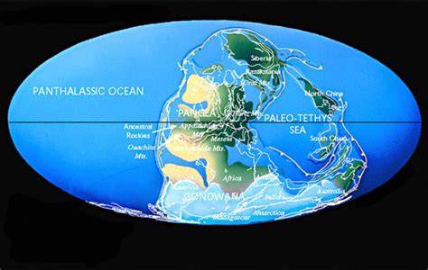 Terra And Fósseis Dois Períodos Do Paleozóico Carbonífero E Pérmico