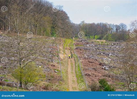 Landscape with Significant Environmental Damage Stock Photo - Image of ...