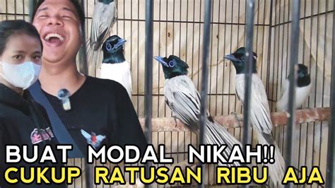 Obral Awal Tahun Burung Talipocong Langsung Banting Harga Untuk