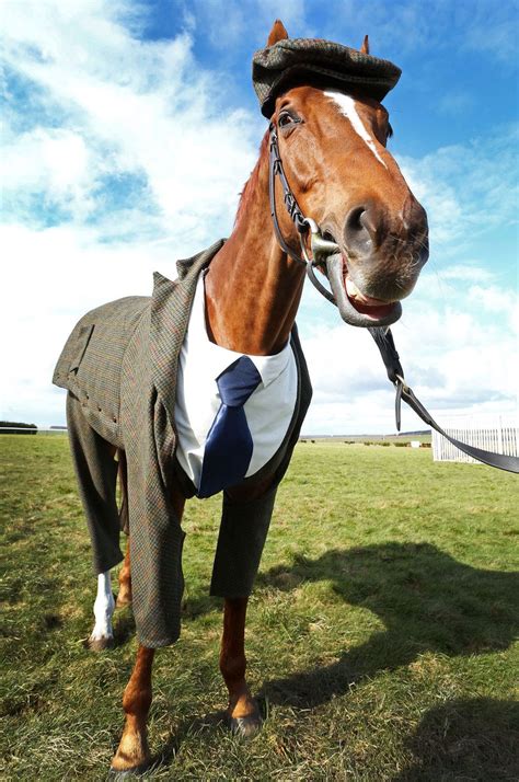 Someone In England Dressed A Racehorse In A Three Piece Suit