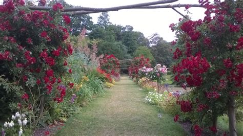 Ightham Mote - Sevenoaks | NGS Gardens