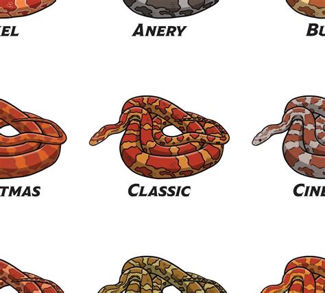 classic corn snake