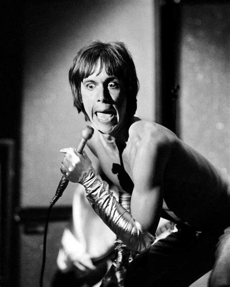 Pin By Steven A Brown On Iggy And The Stooges Iggy Pop Iggy Pop Iggy Iggy And The Stooges