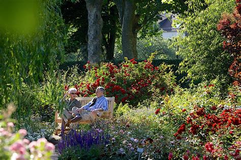 Rosengarten Zweibrücken Rose Biblio