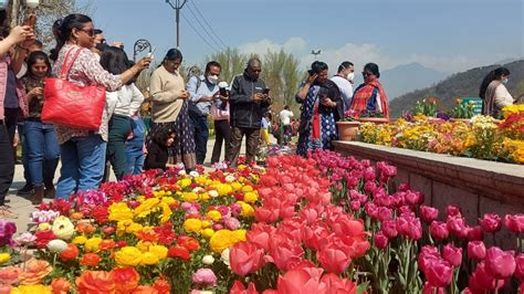 Asia S Largest Tulip Garden Opens For Visitors In J K S Srinagar