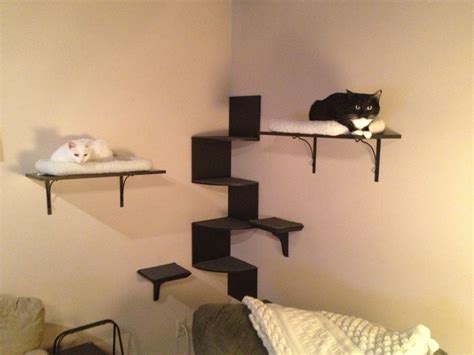 Cat Tree Bed Cat Wall Shelves Cat Shelves Diy Cat Shelves