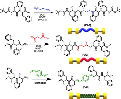 Schematic representation of the synthesis of PA1, PA2 and PA3 ...