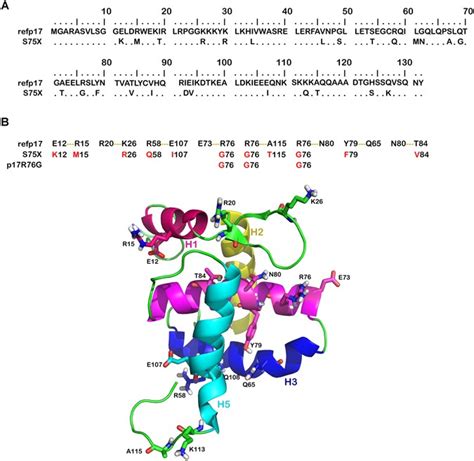 A Single Amino Acid Substitution Confers B Cell Clonogenic Activity To The Hiv 1 Matrix Protein