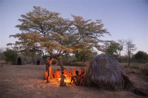 San Bushmen demonstrate traditional dance – Stock Editorial Photo ...