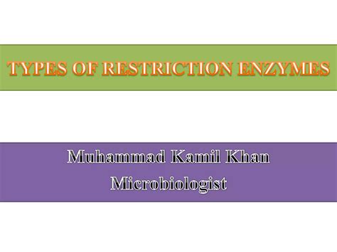 Types Of Restriction Enzymes Ppt